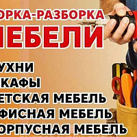 Дмитрий Дорофеев