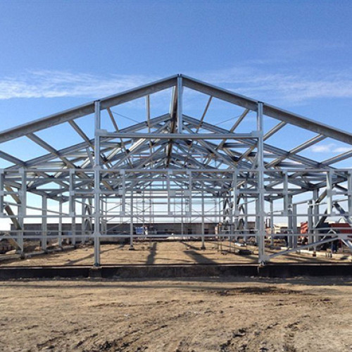 Сергей Шелегов