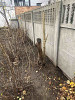 Выкорчевать пень (заказ 88919) изображение 1