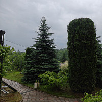 Фотографии для "Расчистка участка"