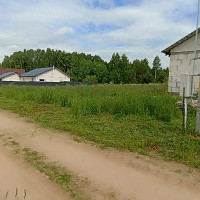 Фотографии для "Покос травы"