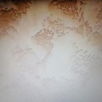 Фотографии для "Покраска стен"