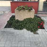 Фотографии для &quot;Укладка тротуарной плитки под ключ&quot;