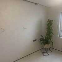 Фотографии для "Услуги маляра"