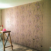 Фотографии для "Декоративная покраска стен"