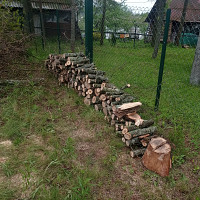 Фотографии для &quot;Обрезка деревьев&quot;