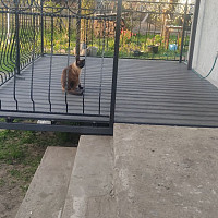 Фотографии для "Забор из металлопрофиля"