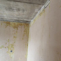 Фотографии для "Шпаклевка потолка"