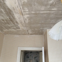 Фотографии для "Шпаклевка потолка"