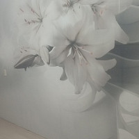 Фотографии для "Поклейка фотообоев"