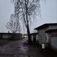 Фотографии для "Обрезка деревьев"