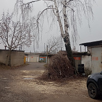 Фотографии для "Обрезка деревьев"