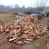 Фотографии для "Обрезка деревьев"