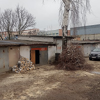 Фотографии для "Обрезка деревьев"