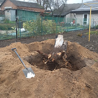 Фотографии для "Корчевание пня"