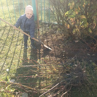 Фотографии для "Вспашка земли"