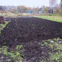 Фотографии для "Вспашка земли"