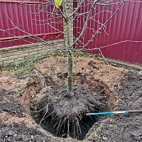 Фотографии для "Демонтаж зданий, конструкций, сооружений"