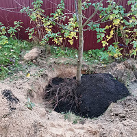 Фотографии для "Демонтаж зданий, конструкций, сооружений"