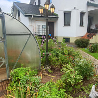 Фотографии для "Монтаж уличных светильников"