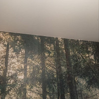 Фотографии для "Услуги маляра"