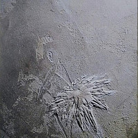 Фотографии для "Декоративная штукатурка"