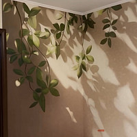 Фотографии для "Поклейка обоев"