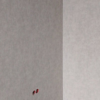 Фотографии для "Поклейка обоев"