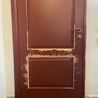 Фотографии для "Покраска дверей"