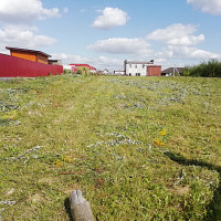 Фотографии для "Покос травы"