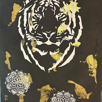 Фотографии для "Покраска стен"