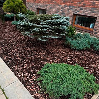 Фотографии для "Ландшафтный дизайн"