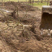 Фотографии для "Расчистка участка"