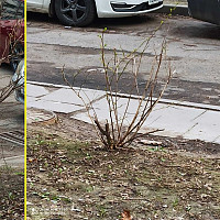 Фотографии для "Корчевание пня"
